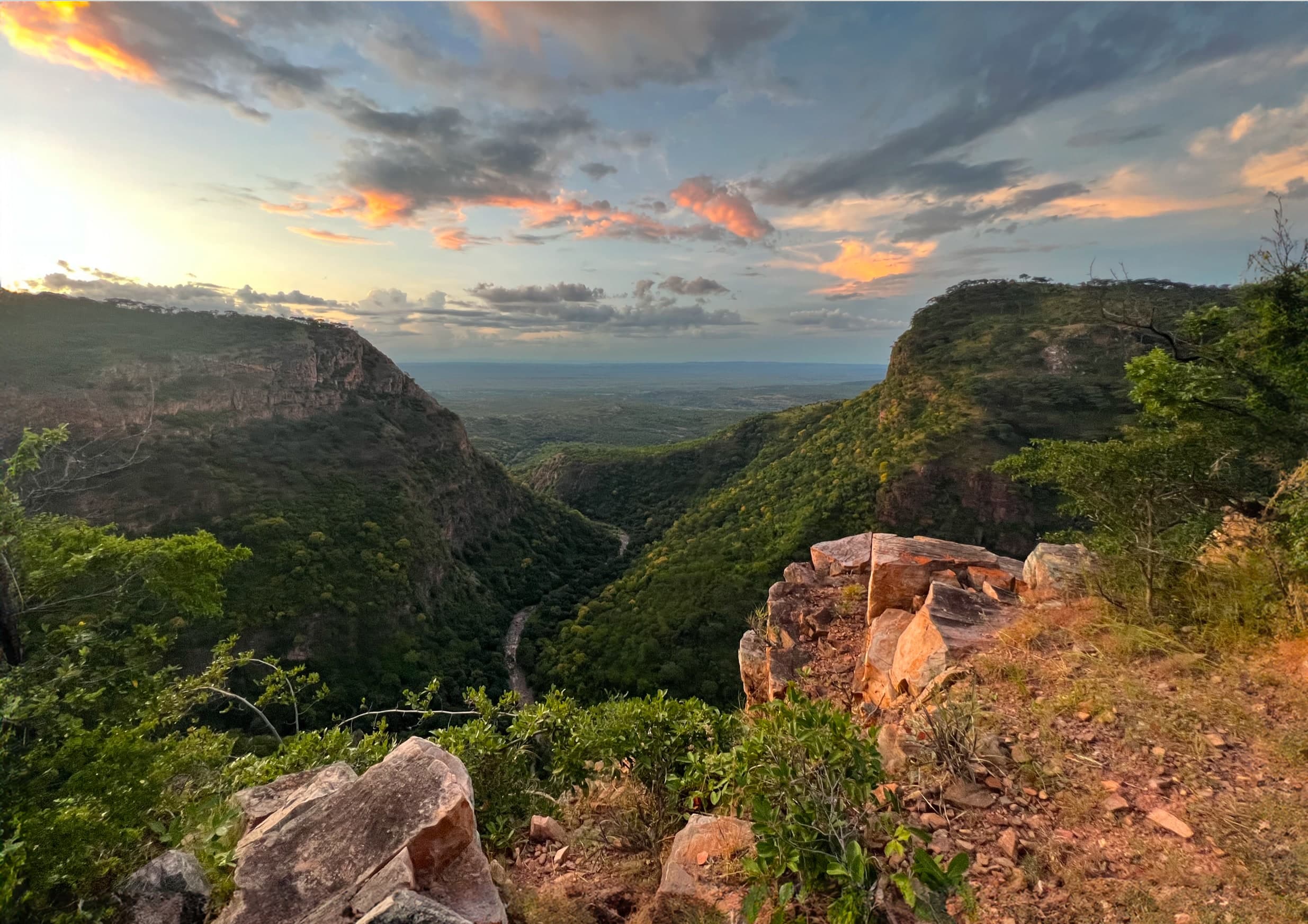 A river winding through a forested valley at sunset