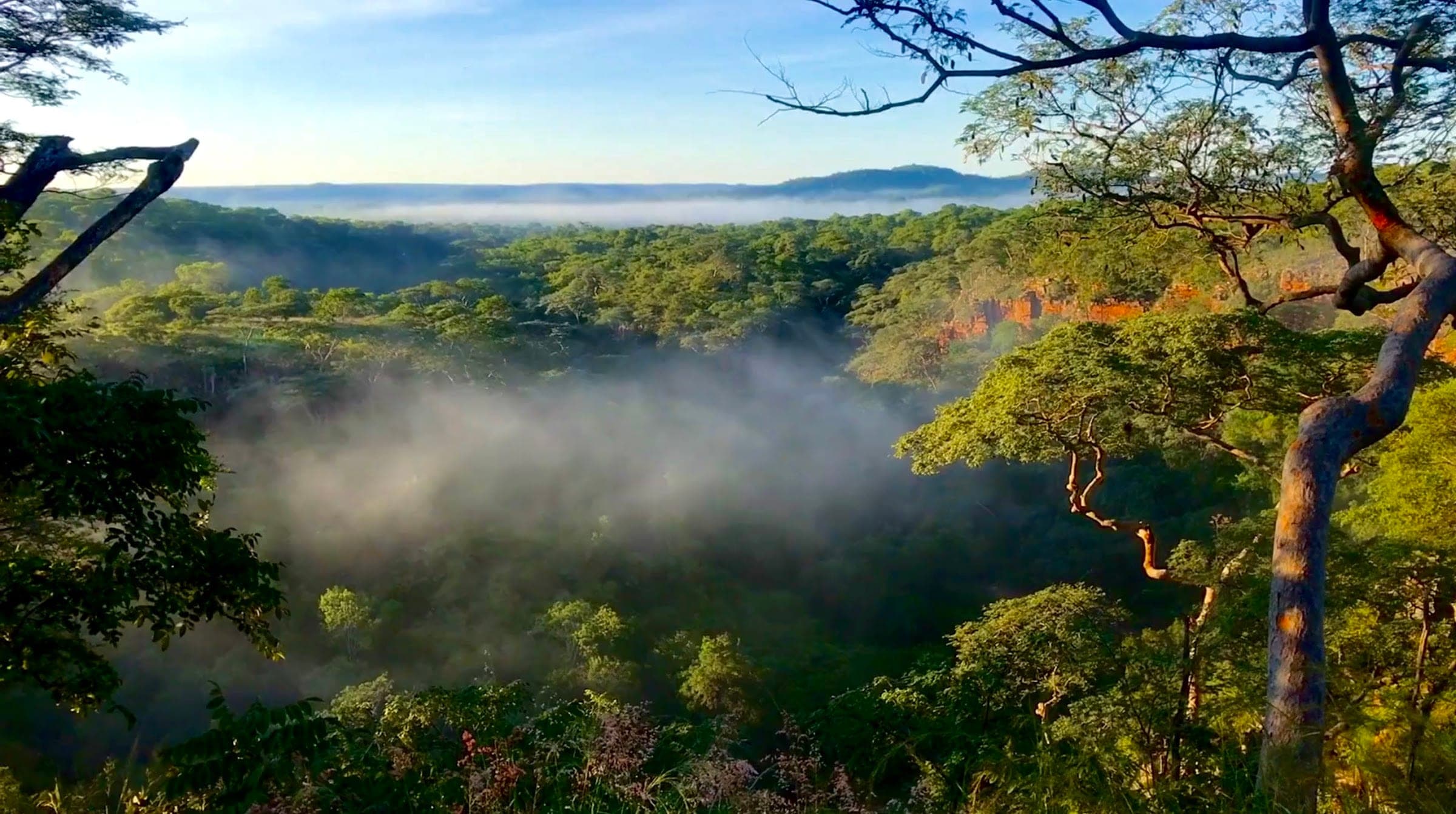 Mist rising over a forested valley in Chizarira
