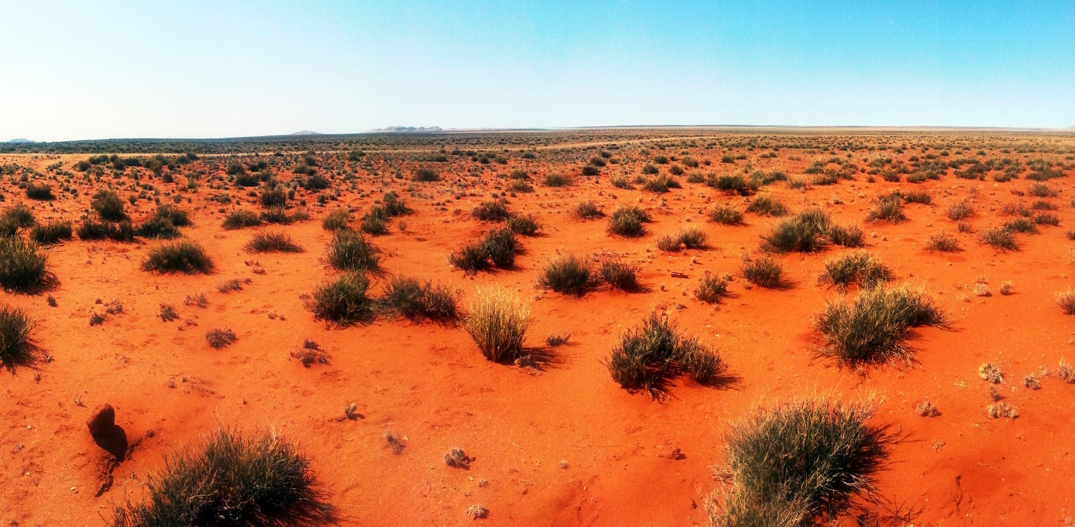 Red Kalahari sand and scattered scrub stretching to the horizon