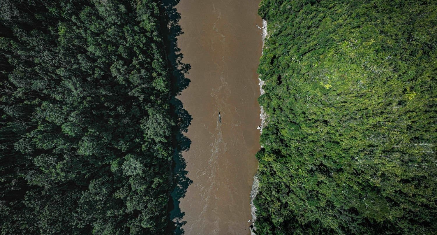 Aerial view of a river flowing between dense forest canopies