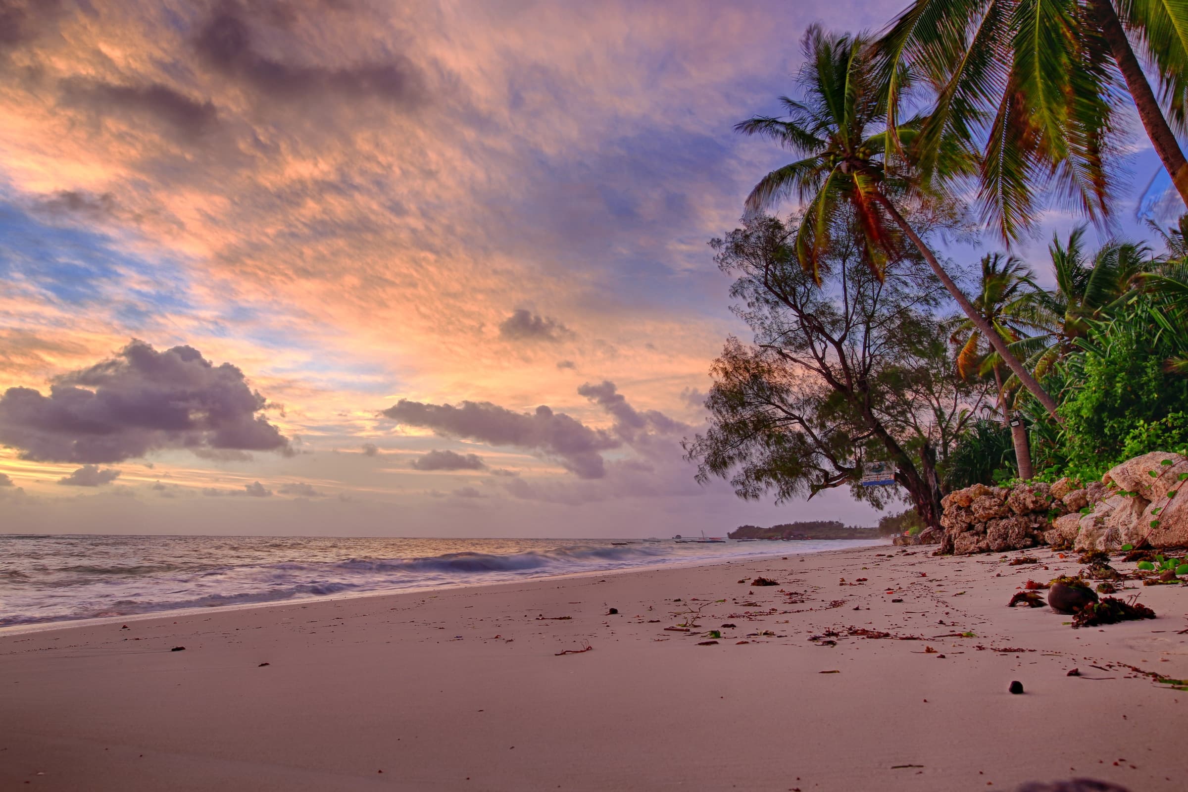 Palm trees on a tropical beach at sunset