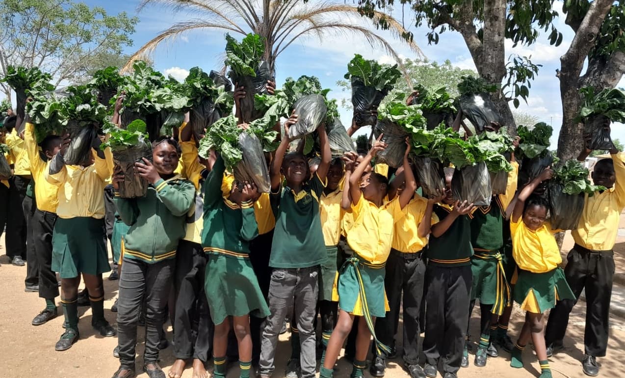 Produce being harvested in a community garden