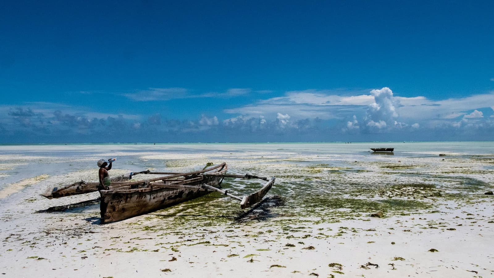 A fisherman working the shallow water off the Zanzibar coast