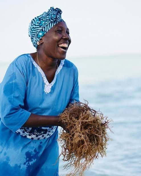 A seaweed farmer on the coast of Zanzibar